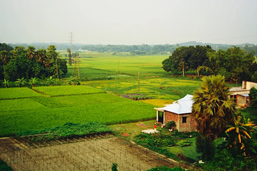 Bangladesh's eSIM