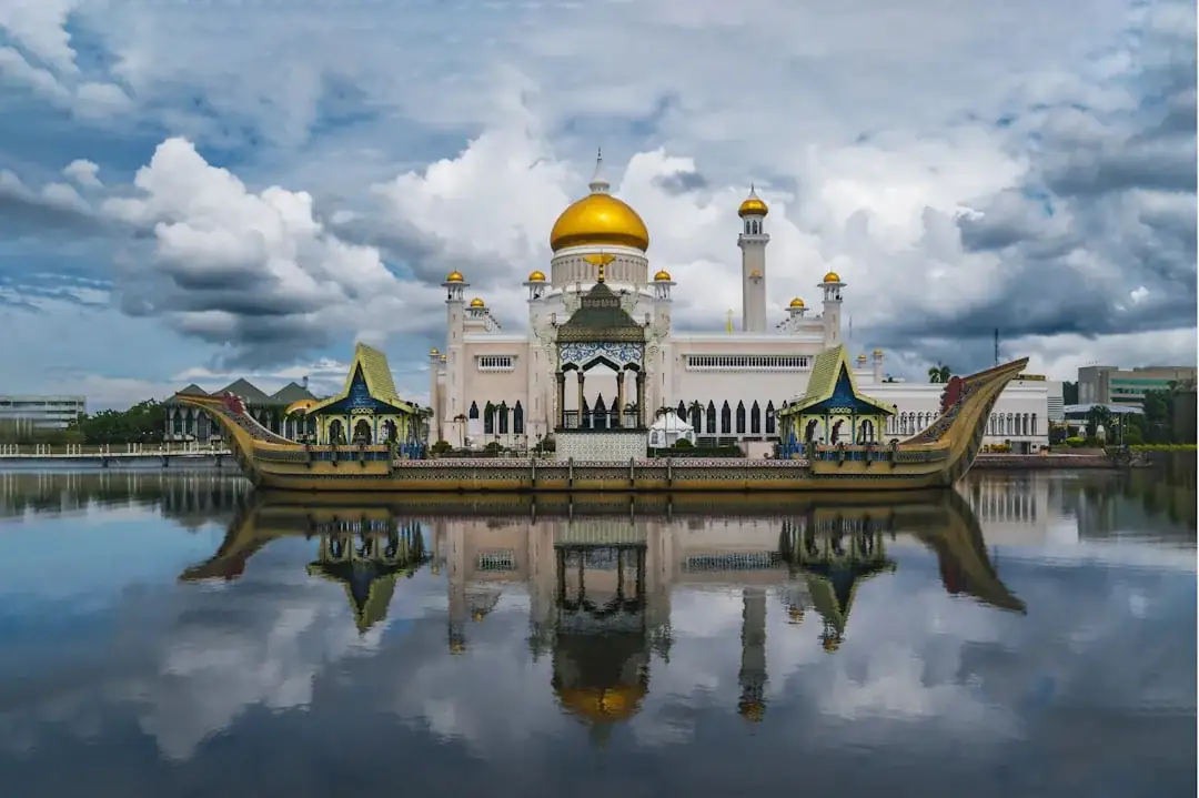 Brunei Darussalam's eSIM