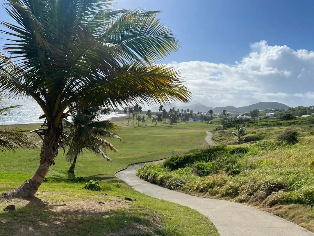 Saint Kitts and Nevis's eSIM
