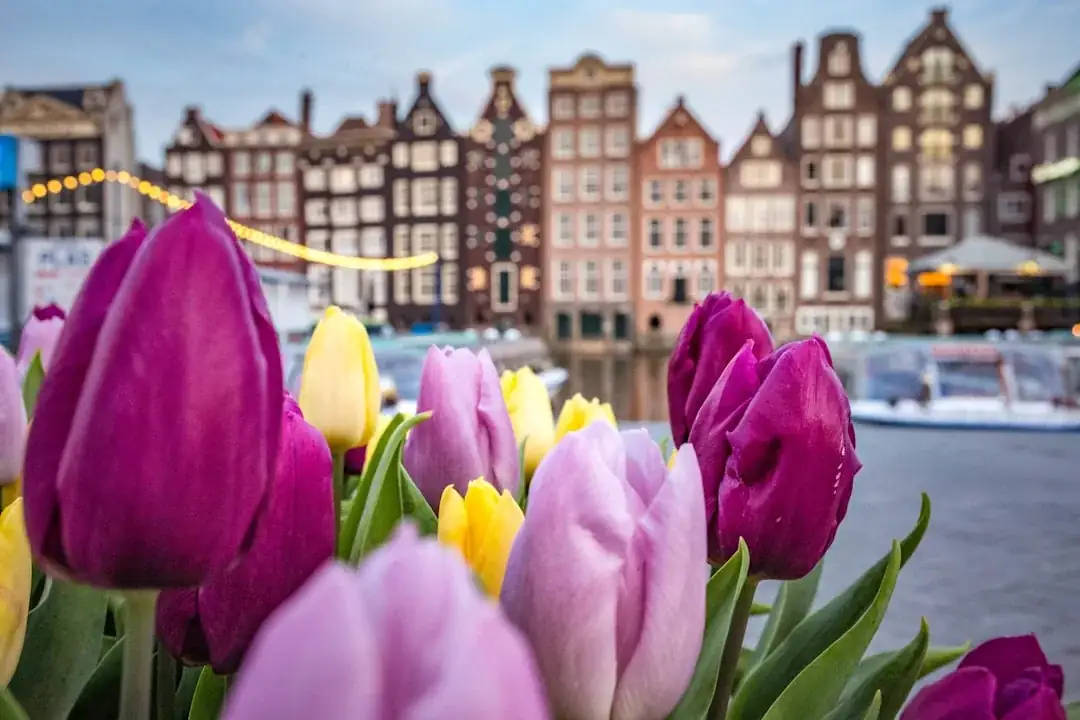 Netherlands