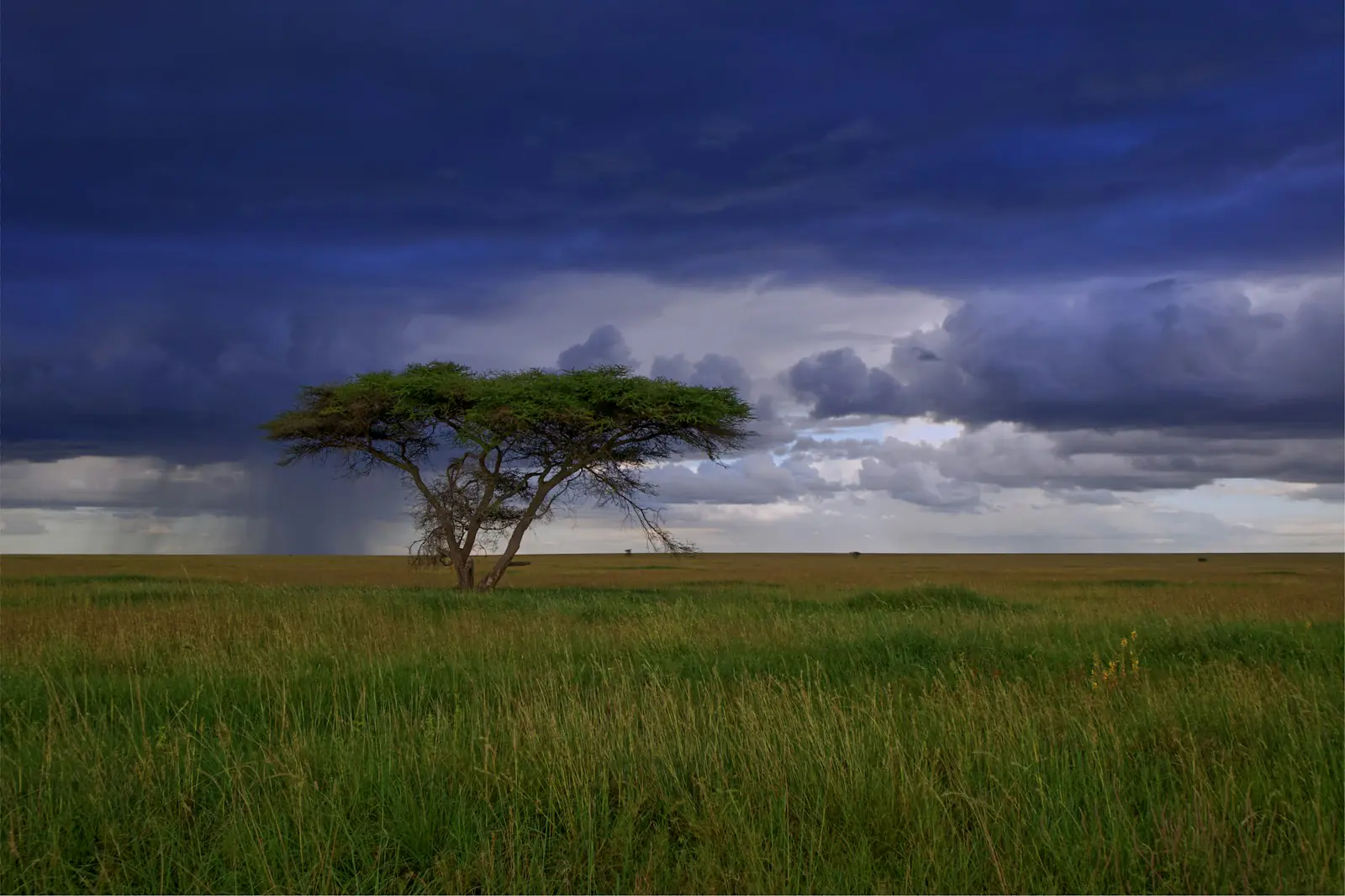 Tanzania's eSIM