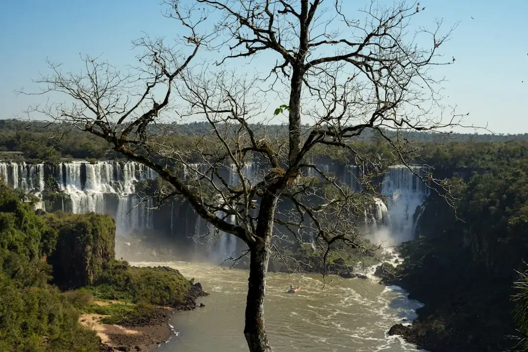 South America